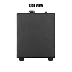 Singtronic BT-600DSP Professional 500W All-in-One Bluetooth Karaoke Speaker Built in DSP