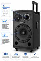 Singtronic BT-1000DSP Professional Rechargeable DSP 12" Karaoke 1000W Speaker With 2 UHF Wireless Mic.