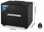 Singtronic BT-600DSP Professional 500W All-in-One Bluetooth Karaoke Speaker Built in DSP
