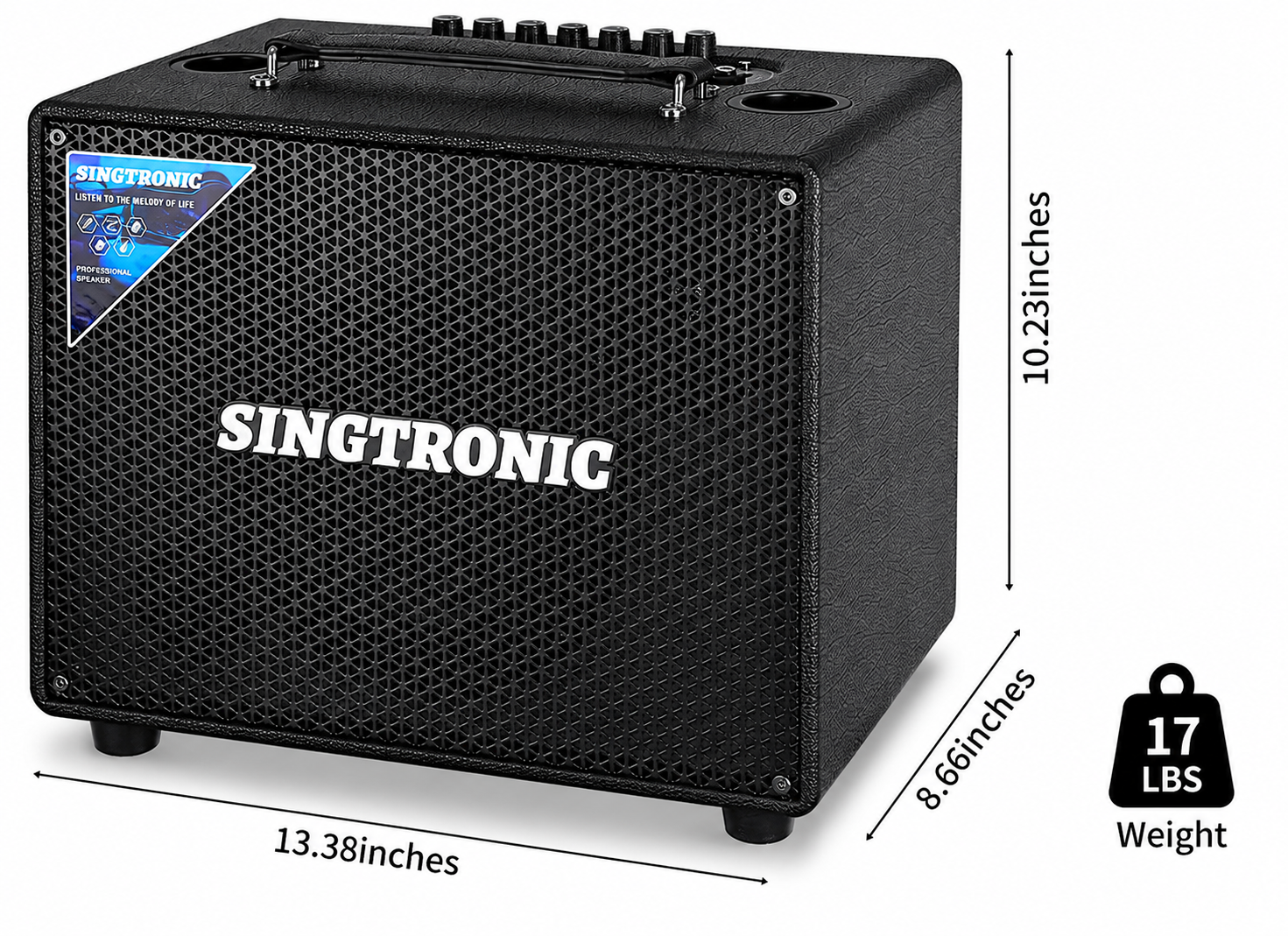 Singtronic BT-600DSP Professional 500W All-in-One Bluetooth Karaoke Speaker Built in DSP