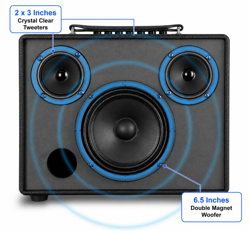 Singtronic BT-600DSP Professional 500W All-in-One Bluetooth Karaoke Speaker Built in DSP