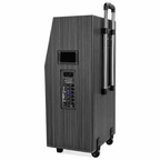 Singtronic BT-888Pro Professional 1000W Powered 12" Bluetooth Speaker Karaoke System
