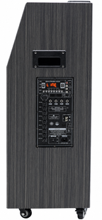 Singtronic BT-999Pro Professional 1500W Powered Double 12" Bluetooth Speaker Karaoke System