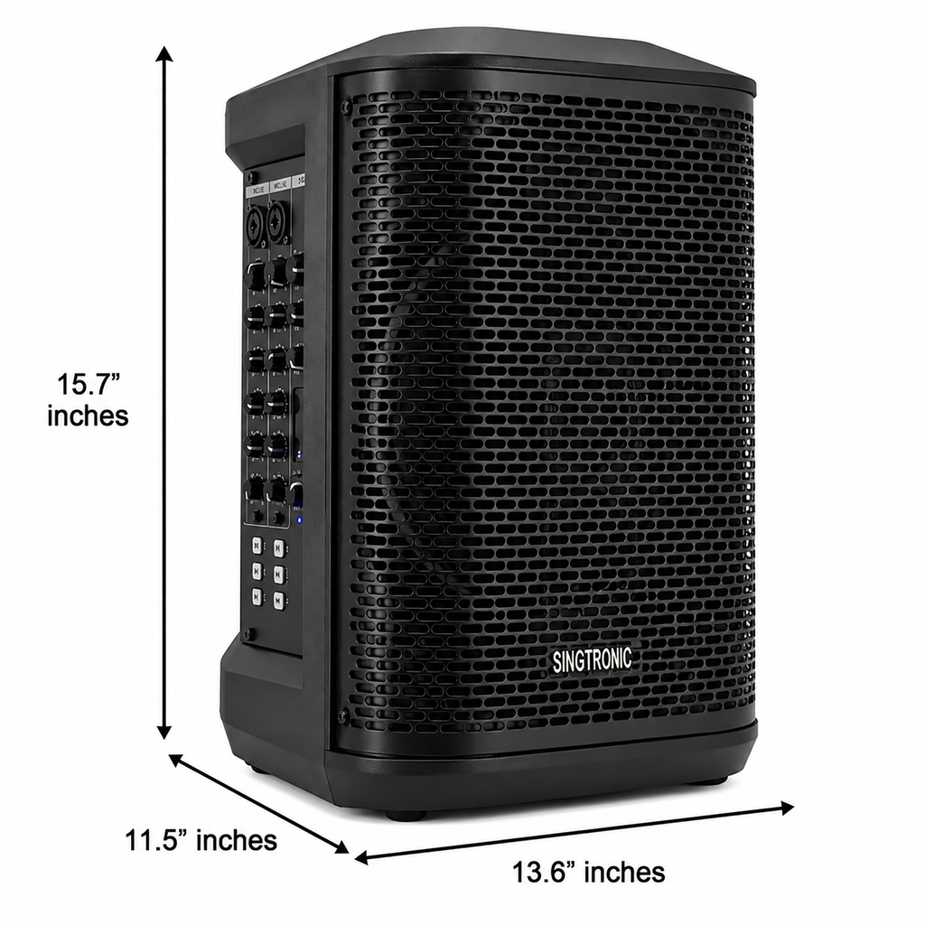 Singtronic BT-ProM Professional Multifunctional Portable Bluetooth Speaker System