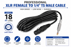 Singtronic Beta 88Pro Professional Wired Microphone Karaoke