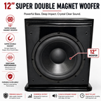 Singtronic SW-500B Professional Power 500 WattsS Pre-Amplifier Sub-Woofer both XLR & RCA Input