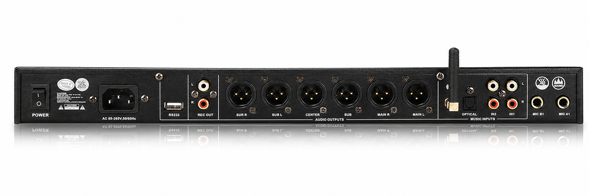 Singtronic DSP-800Pro Professional Digital Echo Karaoke Mixer Processor with Optical & Bluetooth