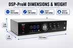 Singtronic DSP-ProM Professional Digital Echo Karaoke Mixer Plus 2 x Anti-feedback Wireless Mics.
