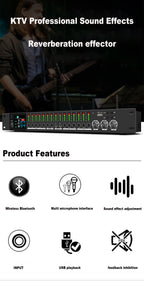 Singtronic EQ-777Pro Professional Karaoke Mixer built Equalizer and Anti-Feedback