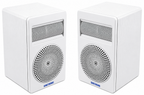 Singtronic KS-1000ProW Professional 2000W Vocalist Karaoke Speaker (Pair)