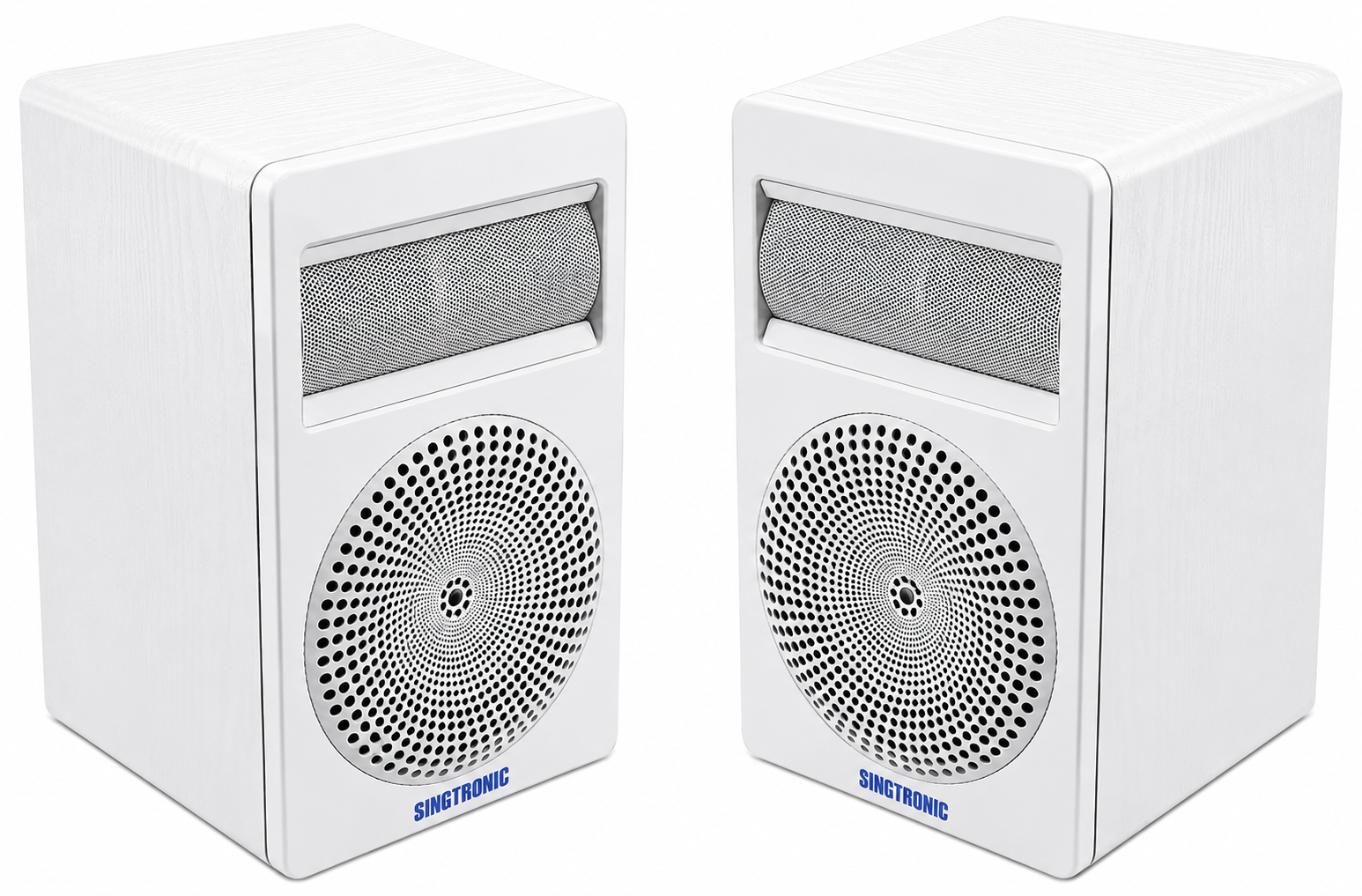 Singtronic KS-1000ProW Professional 2000W Vocalist Karaoke Speaker (Pair)