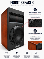Singtronic KS-1500ProB Professional 2500W Vocalist Karaoke Speaker (Pair)