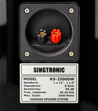 Singtronic KS-2500DW Professional 4000W Vocalist Floor Standing Karaoke Speaker (Pair)