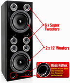 Singtronic KS-3000DW Professional 5000W Vocalist Floor Standing Karaoke Speaker System (Pair)