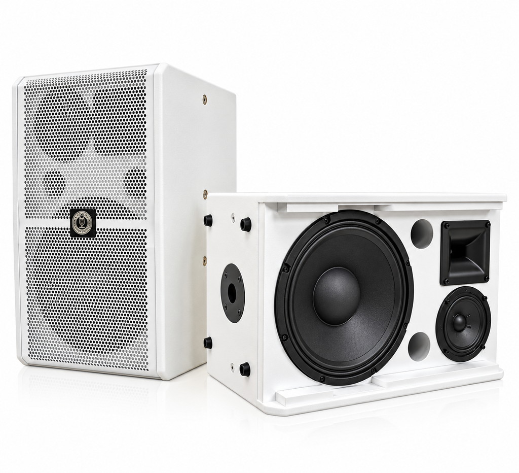 Singtronic KS-3000Pro Professional 3000W Vocalist Karaoke Speaker System (Pair)