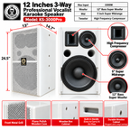 Singtronic KS-3000Pro Professional 3000W Vocalist Karaoke Speaker System (Pair)