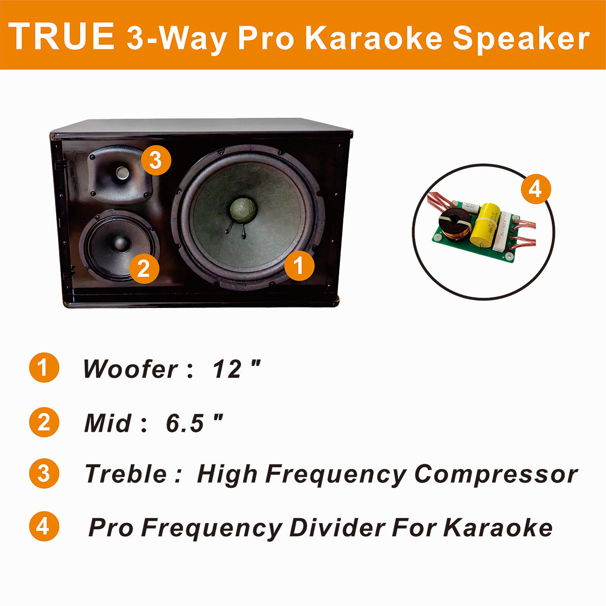 Complete Karaoke System Professional 3000W Built in Anti-Feedback Mics and 21" Touch Screen Smart Karaoke