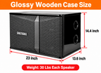 Singtronic KS-3000ProM Professional 3000W Vocalist Piano Karaoke Speaker (Pair)