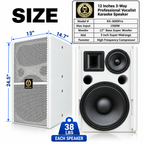 Singtronic KS-3000Pro Professional 3000W Vocalist Karaoke Speaker System (Pair)