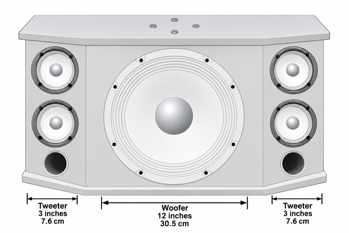 Singtronic KS-3000V Professional 3000W Vocalist Full Range Karaoke Speaker (Pair)