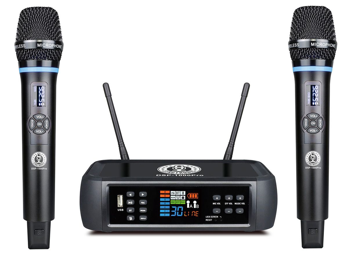 Bose L1 Pro 8 + Singtronic DSP-1000Pro Complete System