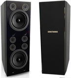 Singtronic KS-3000DW Professional 5000W Vocalist Floor Standing Karaoke Speaker System (Pair)