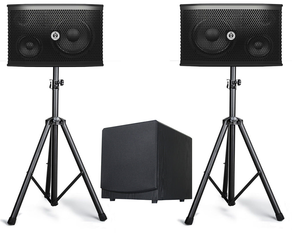 Singtronic KS-550S Professional 1500W Speaker + SW-300B Pre-Amplifier 300W Power Subwoofer