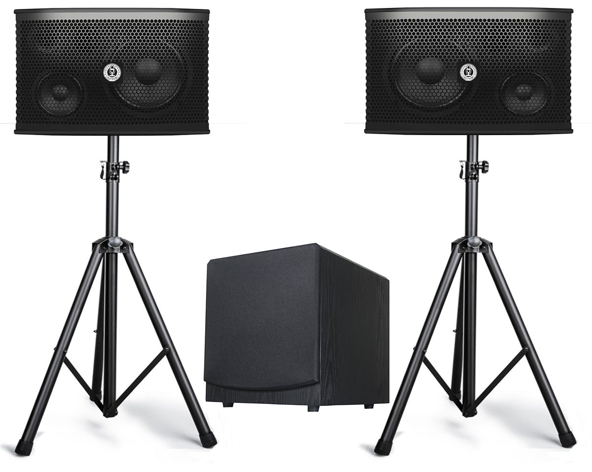 Singtronic KS-550S Professional 1500W Speaker + SW-300B Pre-Amplifier 300W Power Subwoofer