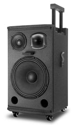Singtronic BT-1000DSP Professional Rechargeable DSP 12" Karaoke 1000W Speaker With 2 UHF Wireless Mic.
