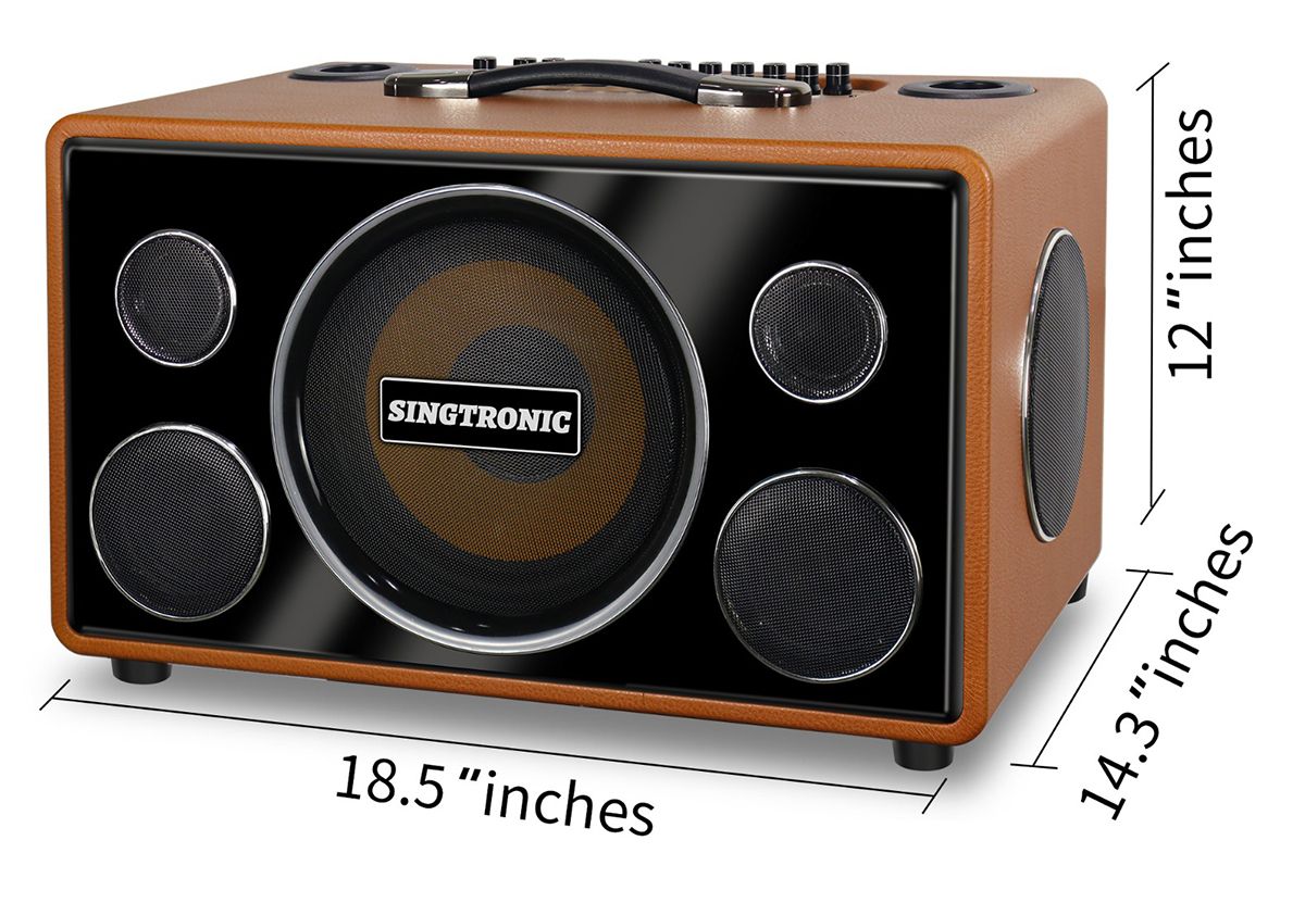Singtronic BT-800DSP Professional 800W All-in-One Bluetooth Karaoke Speaker Built in DSP