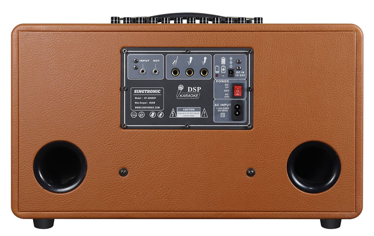 Singtronic BT-800DSP Professional 800W All-in-One Bluetooth Karaoke Speaker Built in DSP
