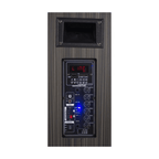 Singtronic BT-888HD Professional 1000W Touch Screen 15.6" PA Karaoke System w/ 2 x Wireless Mics.