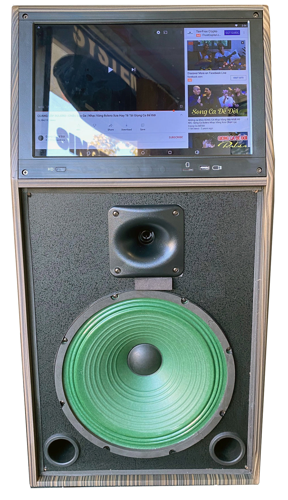 Singtronic BT-888HD Professional 1000W Touch Screen 15.6" PA Karaoke System w/ 2 x Wireless Mics.