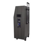 Singtronic BT-888Pro Professional 1000W Powered 12" Bluetooth Speaker Karaoke System