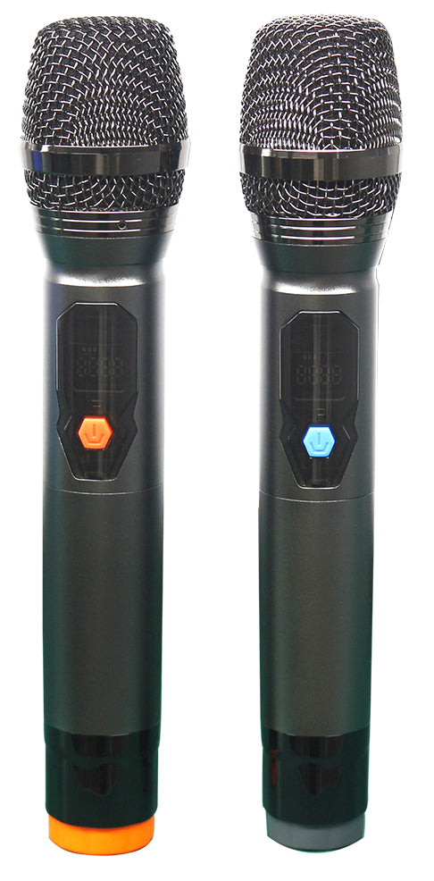 Singtronic BT-888Pro Professional 1000W Powered 12" Bluetooth Speaker Karaoke System