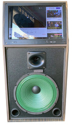 Singtronic BT-888Pro Professional 1000W Powered 12" Bluetooth Speaker Karaoke System
