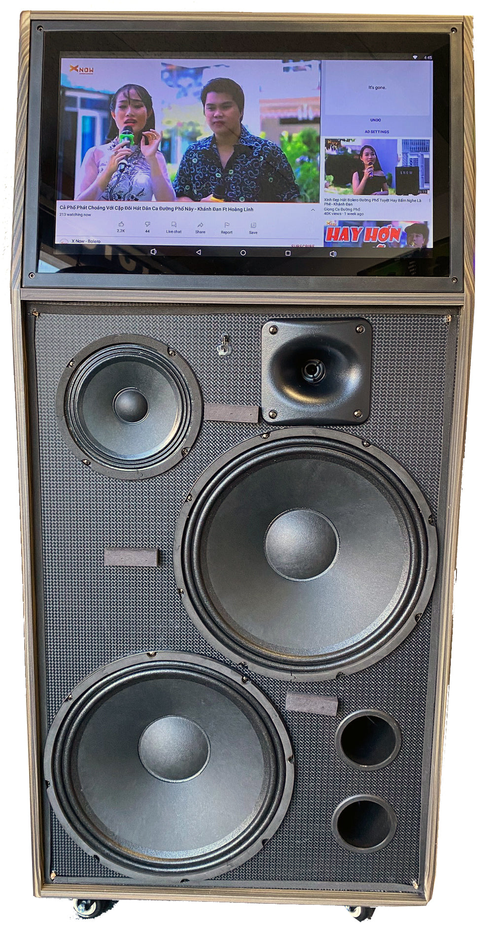Singtronic BT-999HD Professional Portable 1500W Pre-Amplifier Doubel 12" All in One Karaoke System
