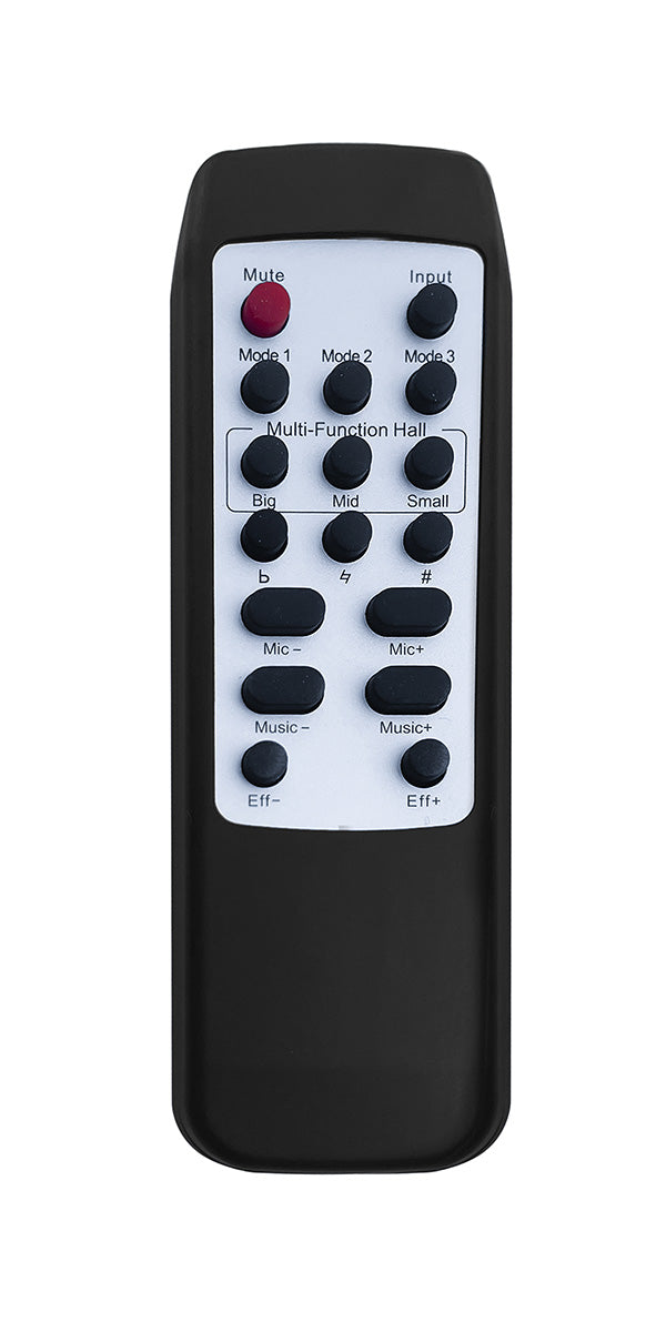 Singtronic DSP-3000Pro Digital 2 in 1 Professional Karaoke Mixer & Processor UHF Microphones