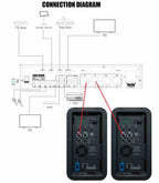 Singtronic DSP-ProM Professional Digital Echo Karaoke Mixer Plus 2 x Anti-feedback Wireless Mics.