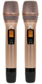 Singtronic DSP-ProM Professional Digital Echo Karaoke Mixer Plus 2 x Anti-feedback Wireless Mics.