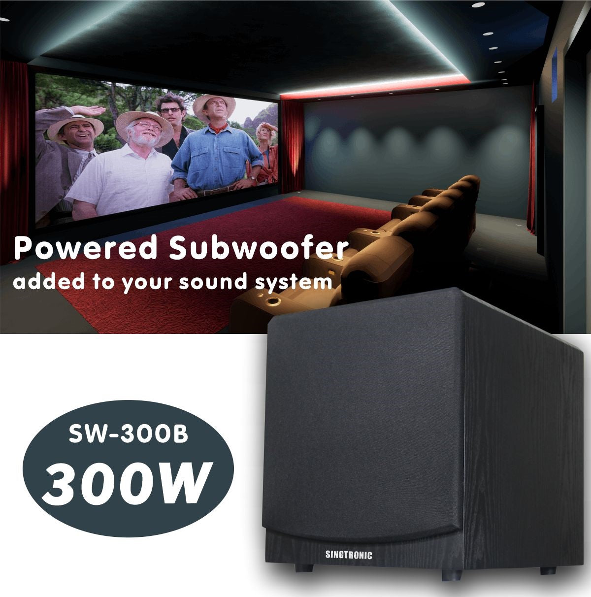 Singtronic SW-300B Professional Pre-Amplifier 300W Power Subwoofer Built in 5.1 Channels